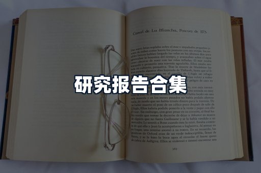 研究报告合集
